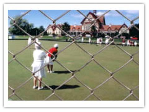 Chain Link Fence